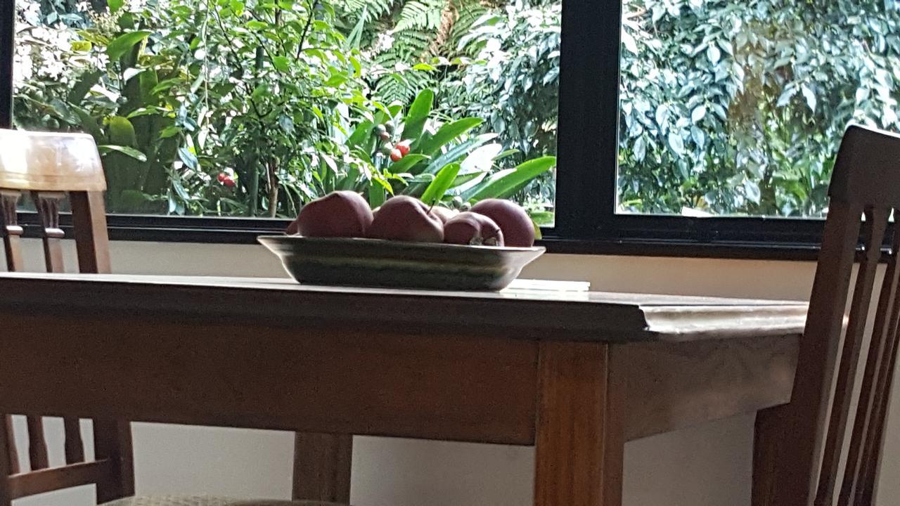 Sequoia Steps Bed & Breakfast New Plymouth Bagian luar foto