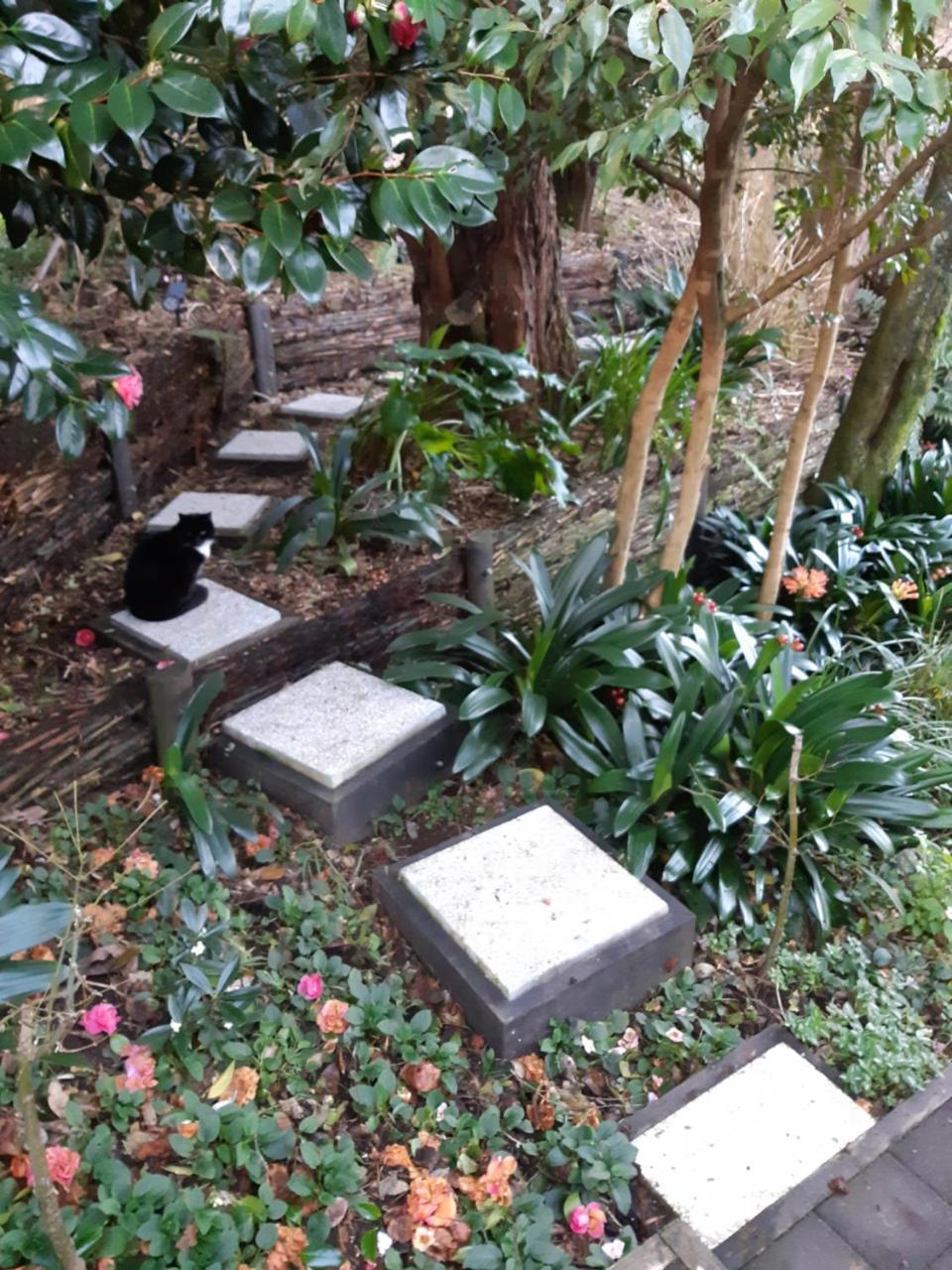 Sequoia Steps Bed & Breakfast New Plymouth Bagian luar foto