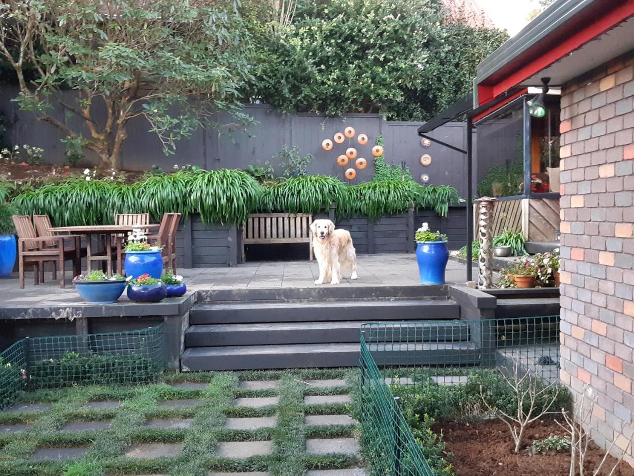 Sequoia Steps Bed & Breakfast New Plymouth Bagian luar foto