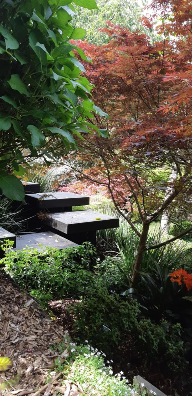 Sequoia Steps Bed & Breakfast New Plymouth Bagian luar foto
