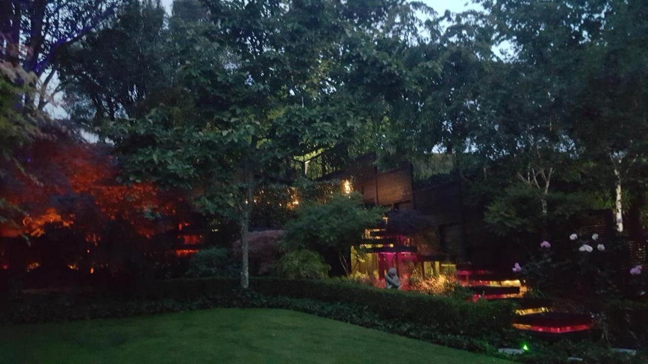 Sequoia Steps Bed & Breakfast New Plymouth Bagian luar foto