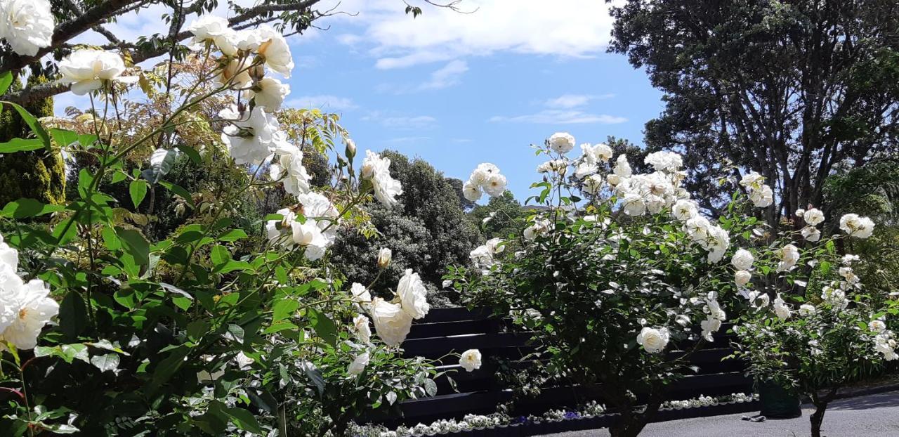 Sequoia Steps Bed & Breakfast New Plymouth Bagian luar foto
